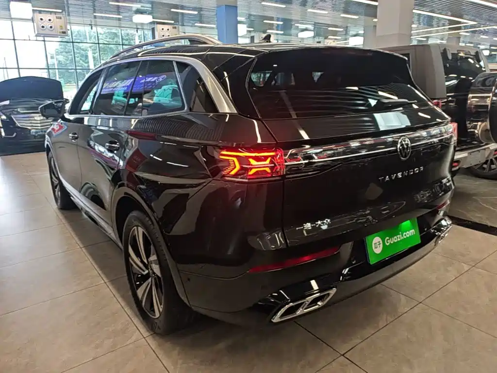 Volkswagen Tavendor — миниатюра 5