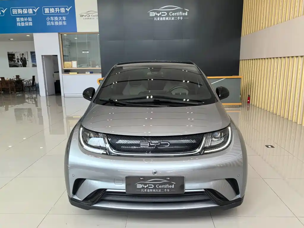 BYD Dolphin — миниатюра 2