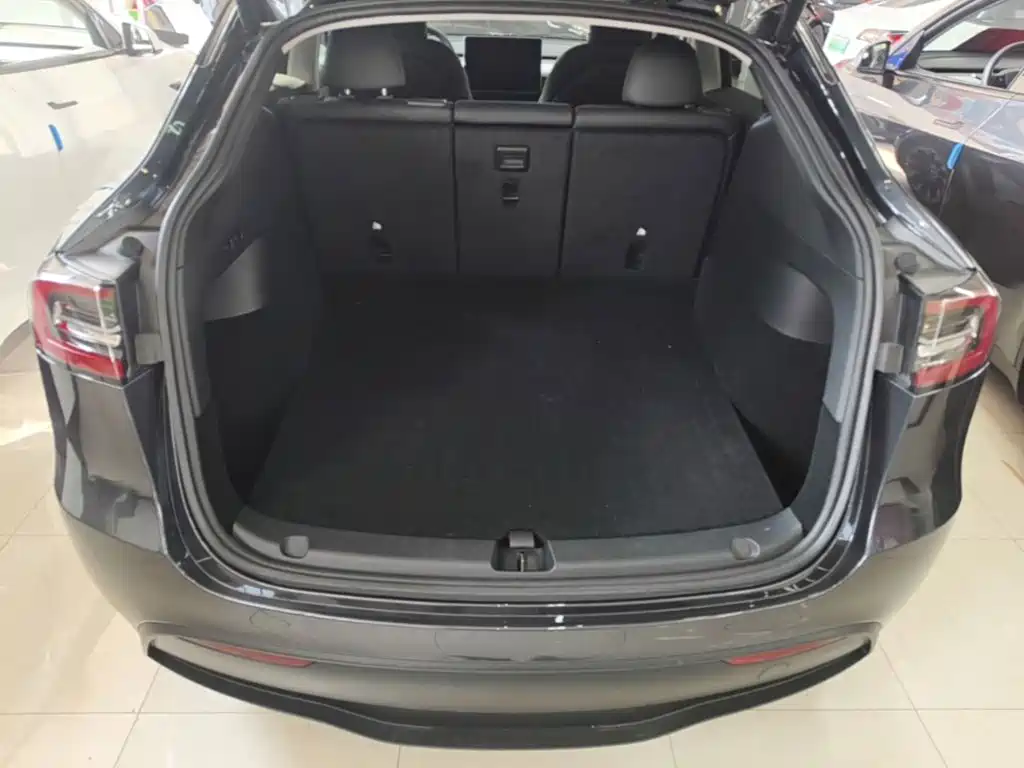 Tesla Model Y — миниатюра 19