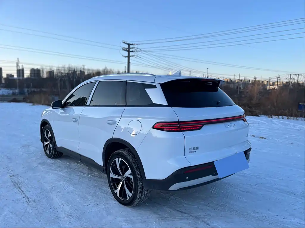 BYD SONGJIANG NEW ENERGY