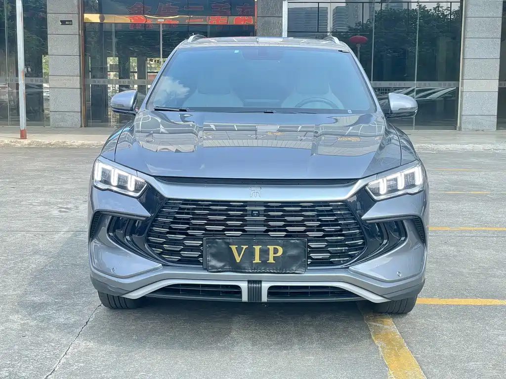 BYD Pro New Energy — миниатюра 2