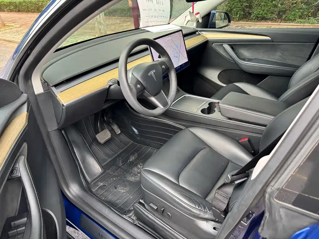 Tesla Model Y — миниатюра 6