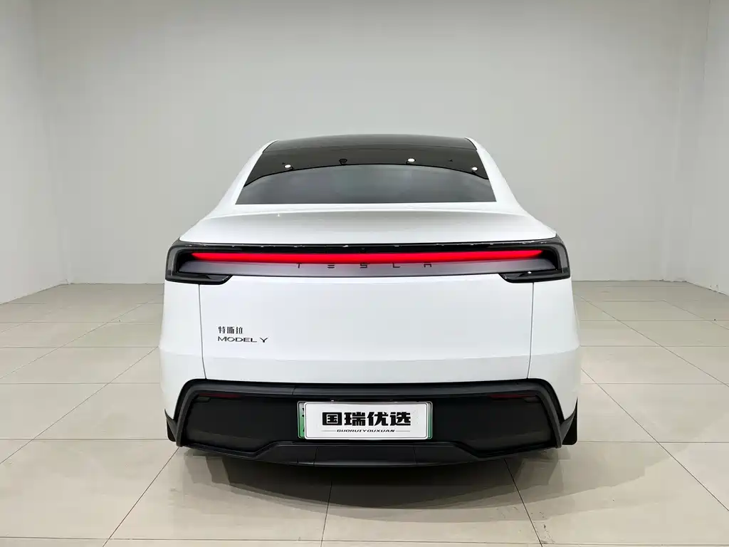 Tesla Model Y — миниатюра 5