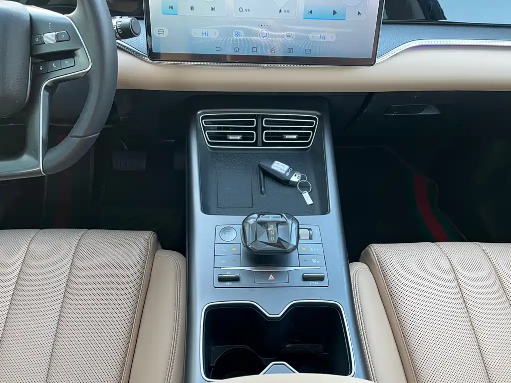 BYD SONGJIANG NEW ENERGY