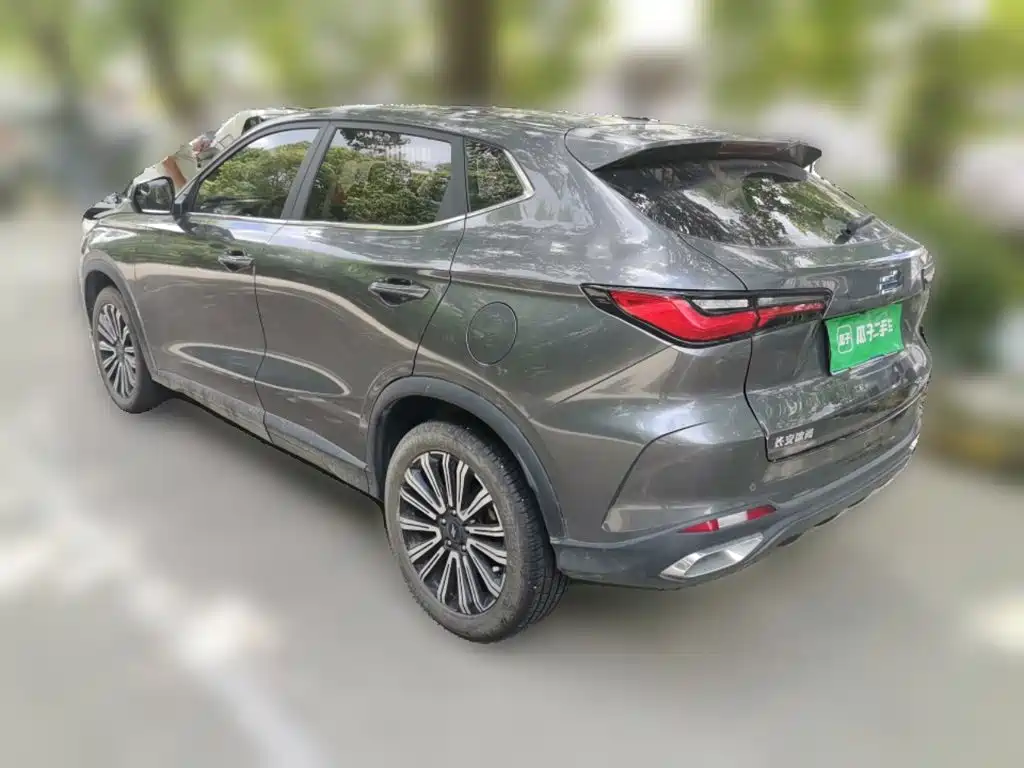 Oshan Oushang X5 — миниатюра 25