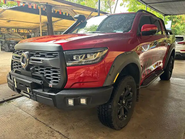 GREAT WALL CANNON 2021