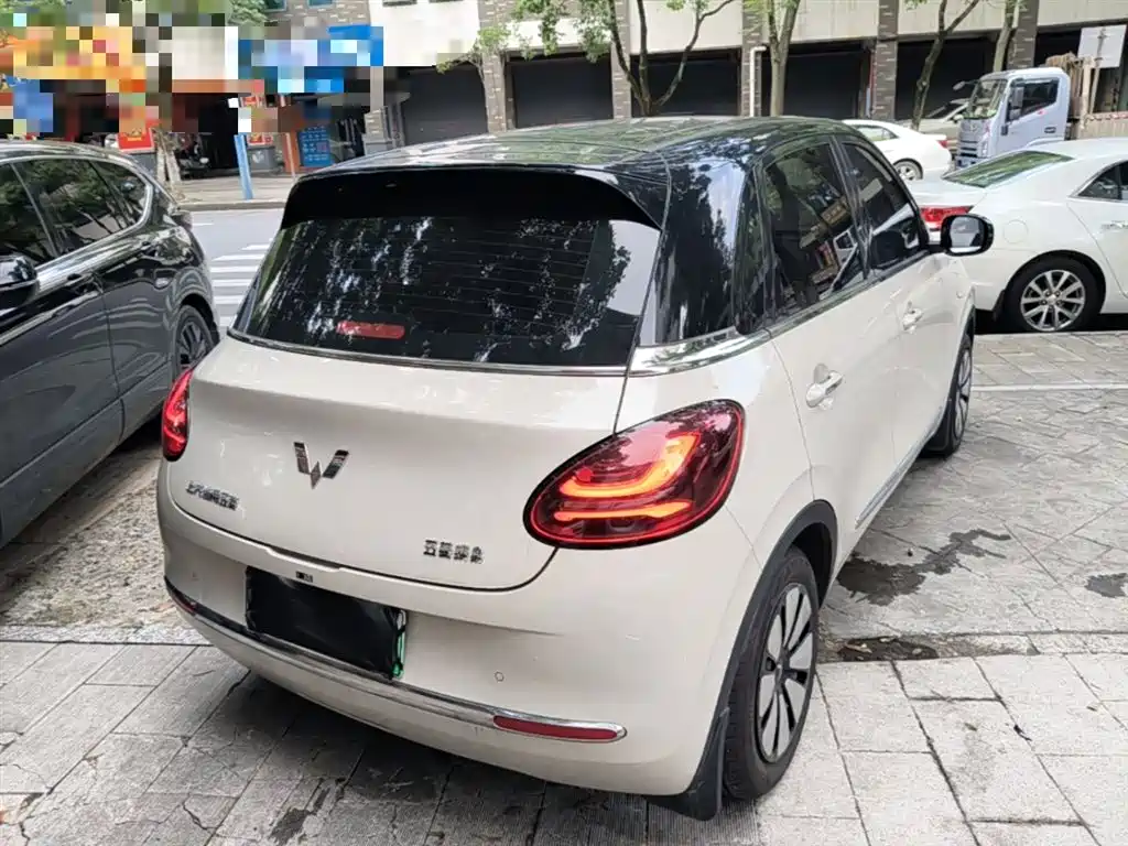 Wuling Binguo 2024 333km