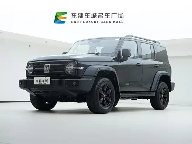 2024 TANK 300