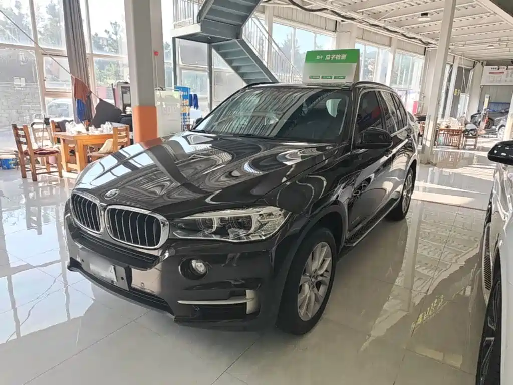 BMW X5 (Import) — миниатюра 2
