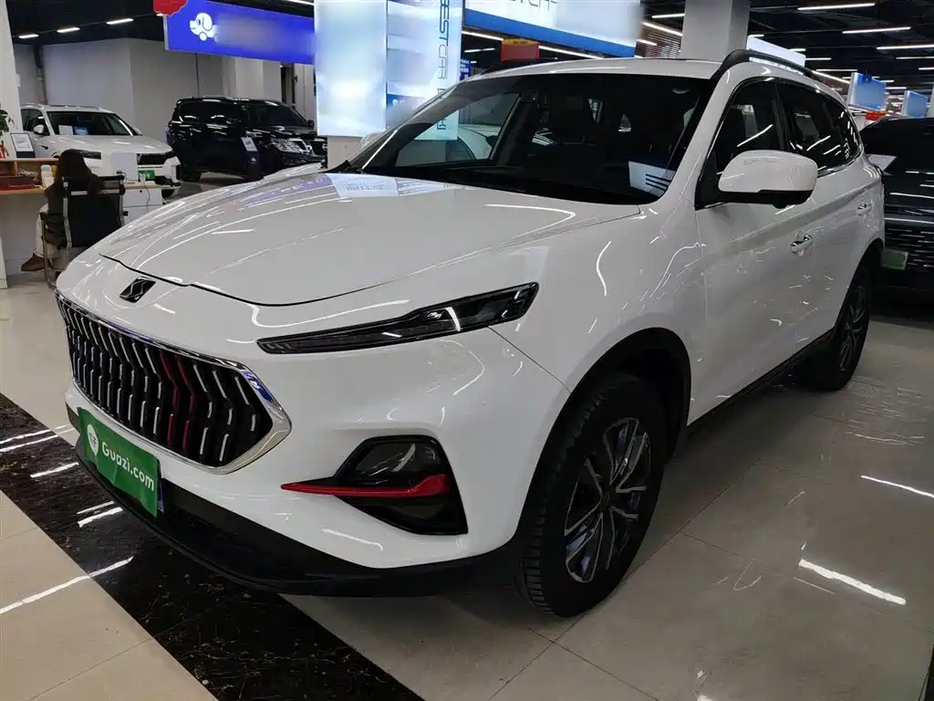 SOL 思皓X7 2021