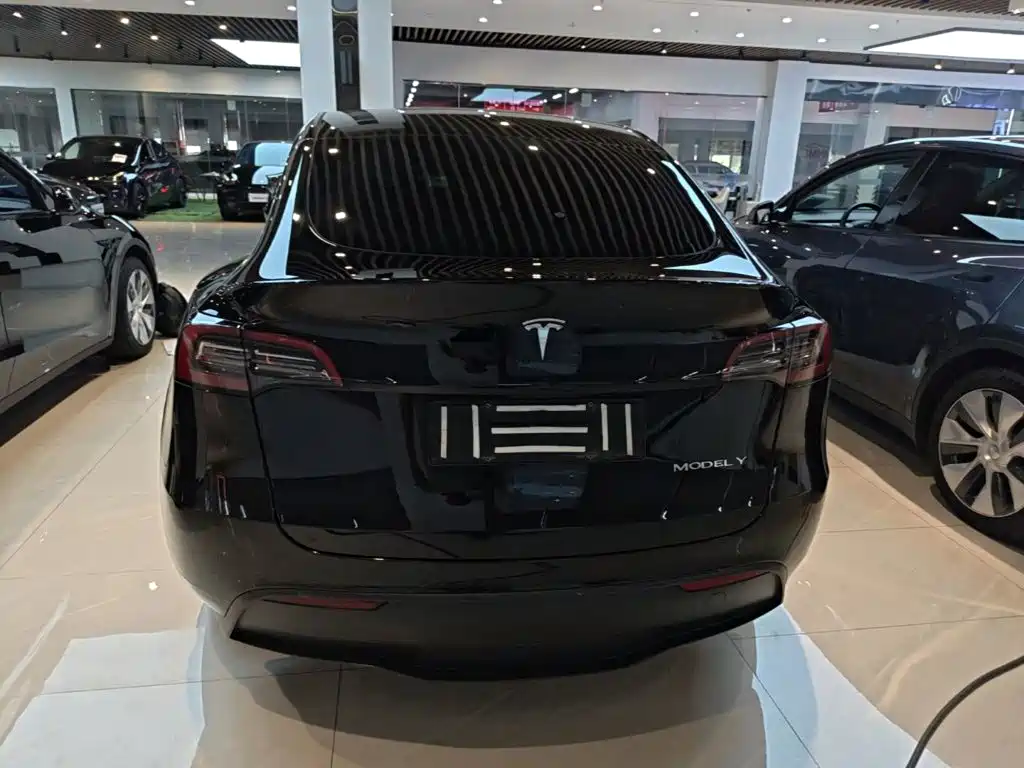 Tesla Model Y — миниатюра 6