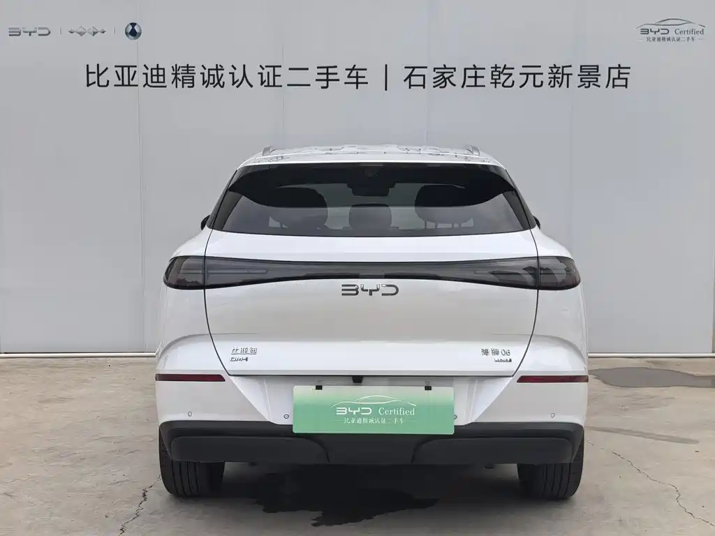 BYD Sealion 06 - фото 4