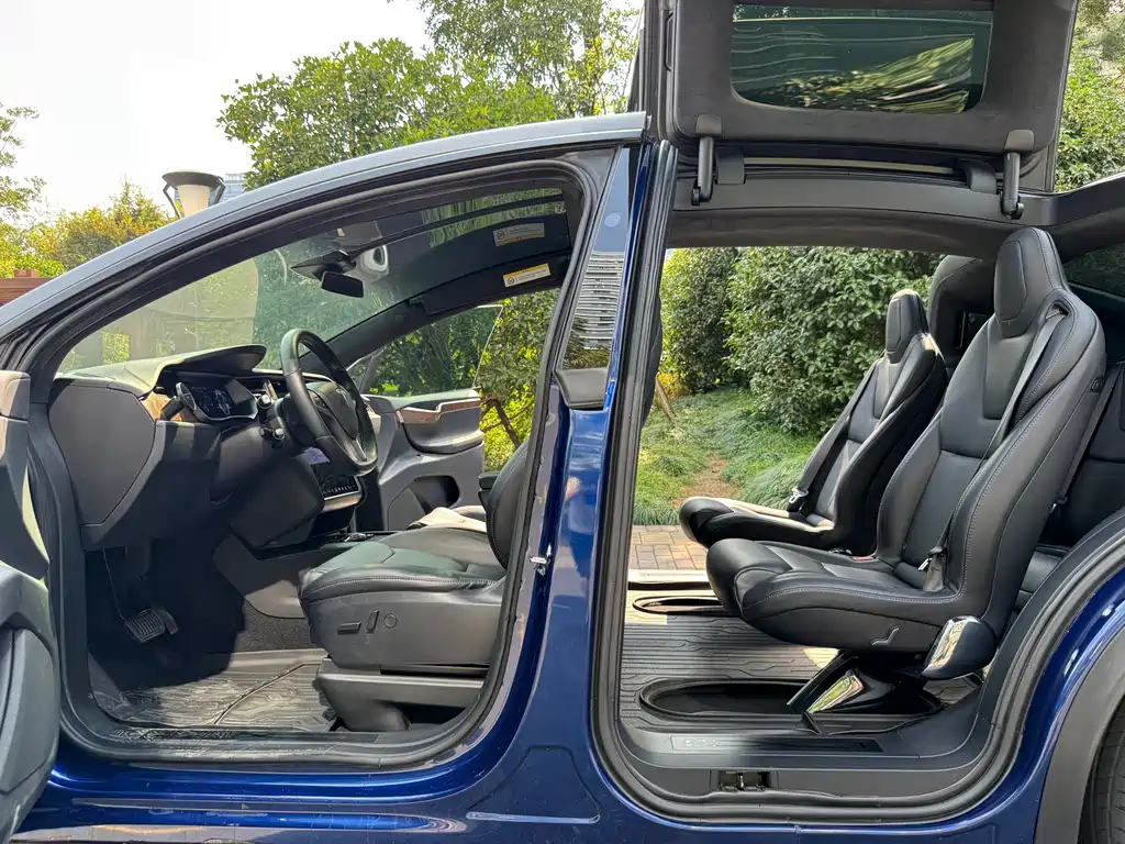 Tesla Model X — миниатюра 12