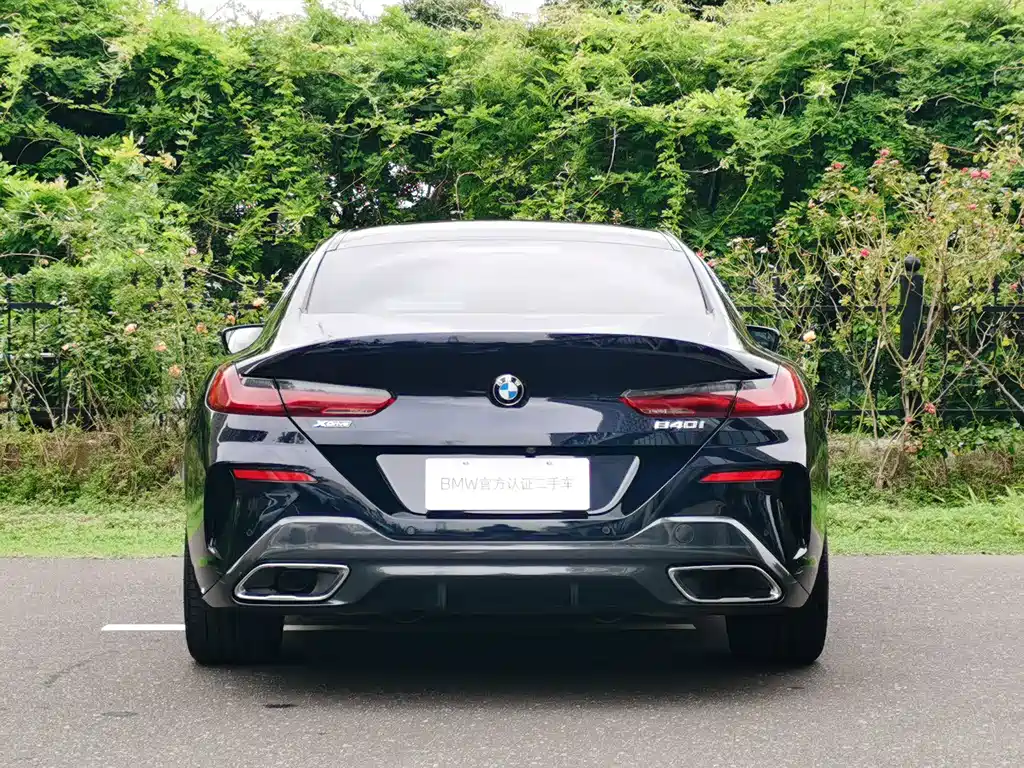 BMW 8 Series — миниатюра 5