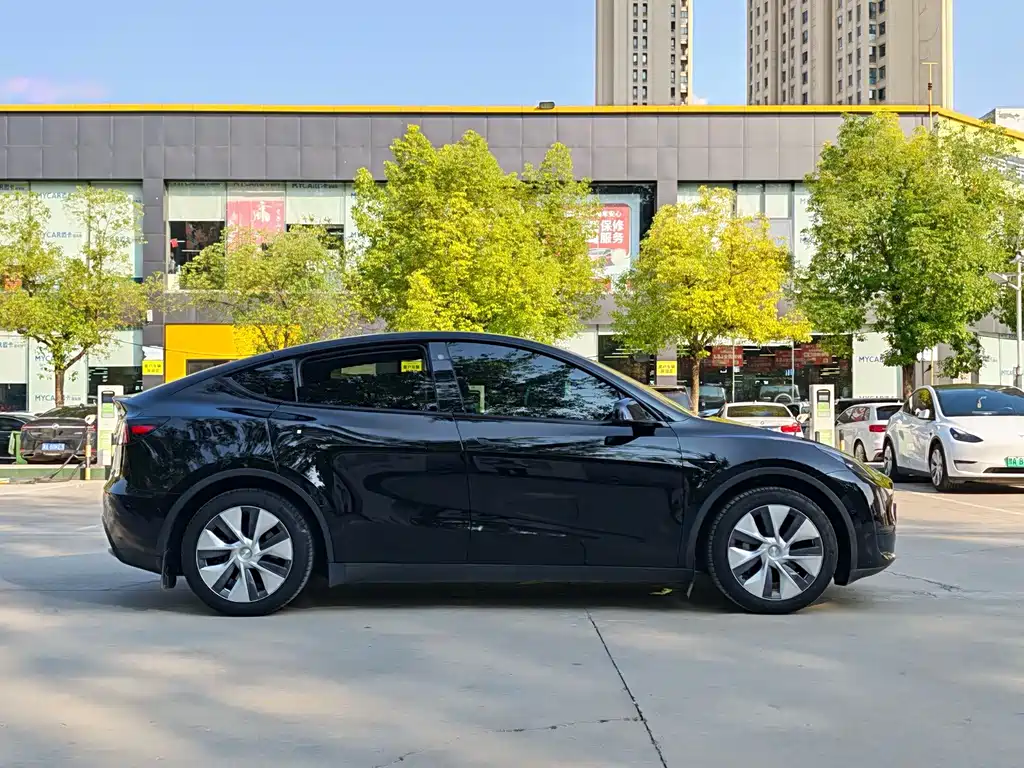 Tesla Model Y — миниатюра 14