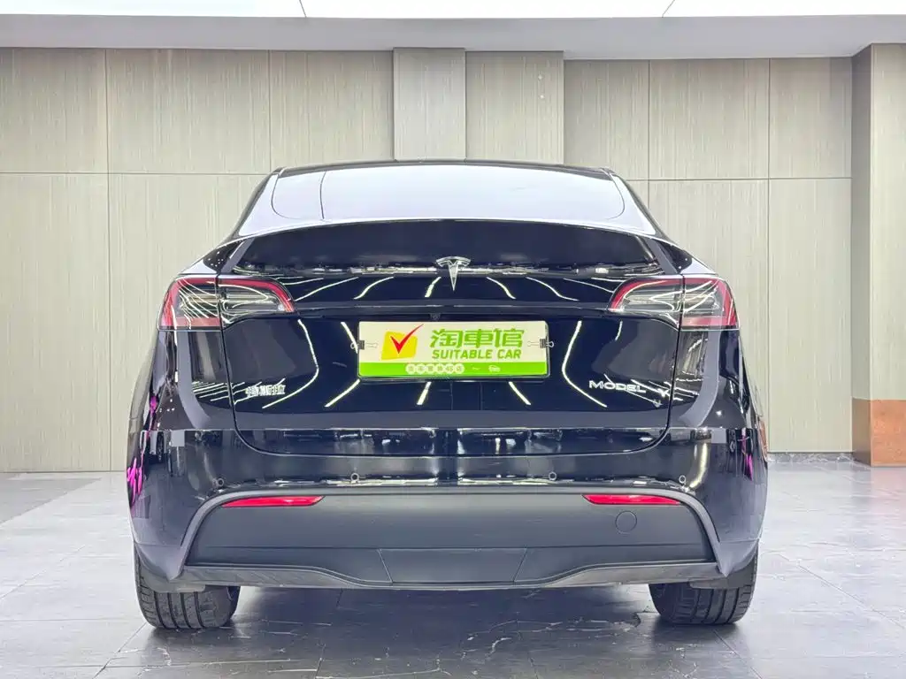 Tesla Model Y — миниатюра 5