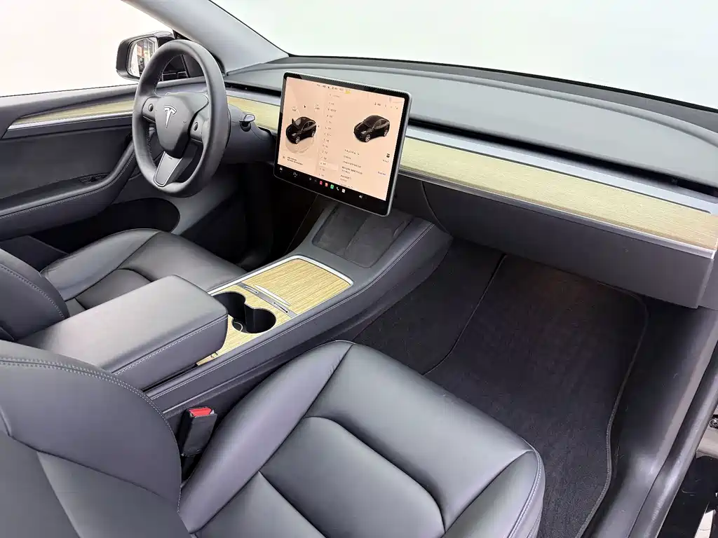 Tesla Model Y — миниатюра 16