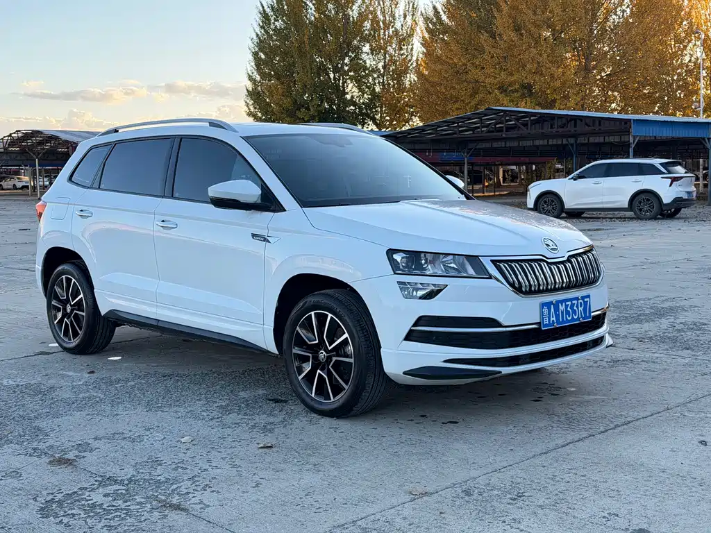 Skoda Karoq — миниатюра 3