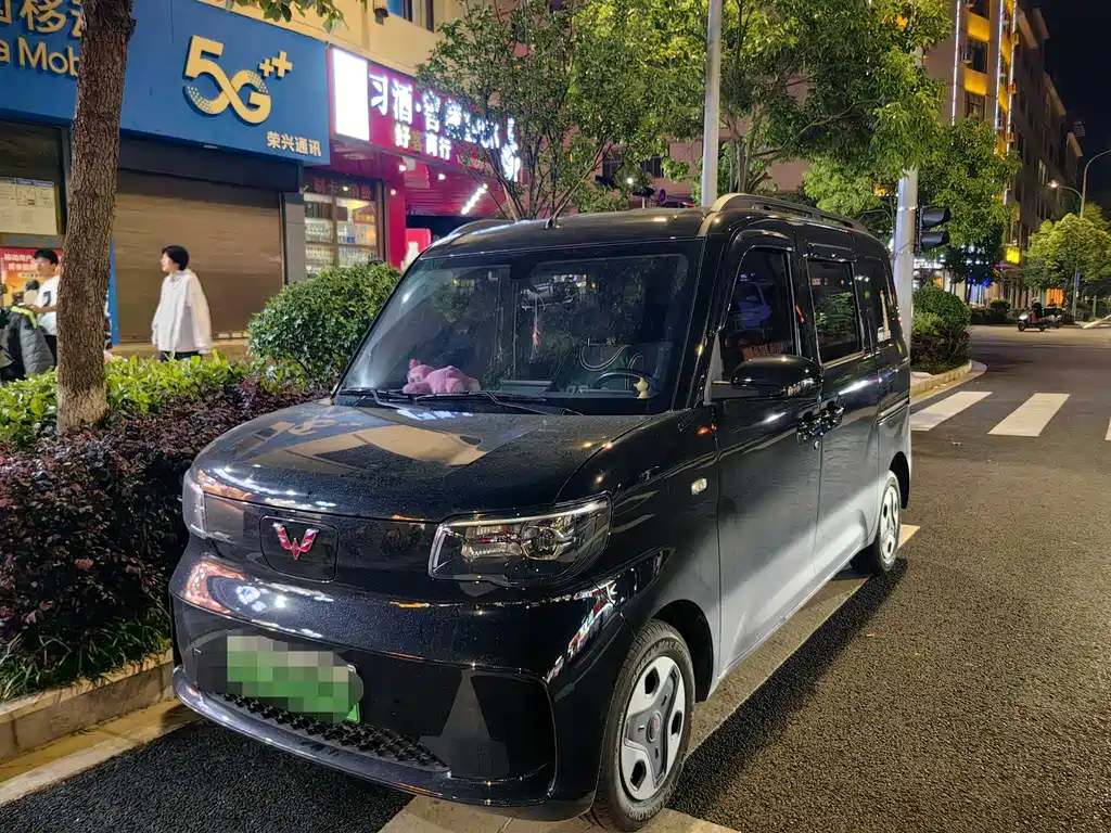 Wuling Zhiguang EV 2025