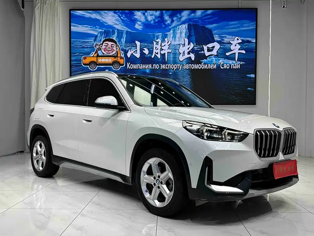 BMW X1 — миниатюра 3