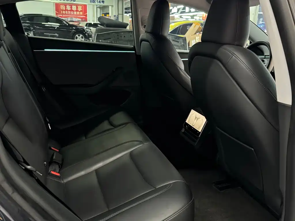 Tesla Model 3 — миниатюра 11