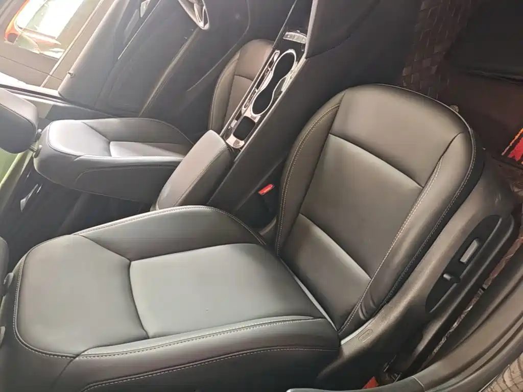 Buick Regal — миниатюра 25