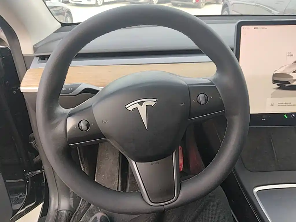 Tesla Model Y — миниатюра 11