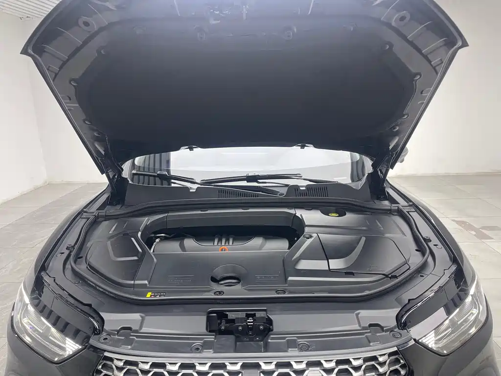Wey Wey VV5 — миниатюра 9