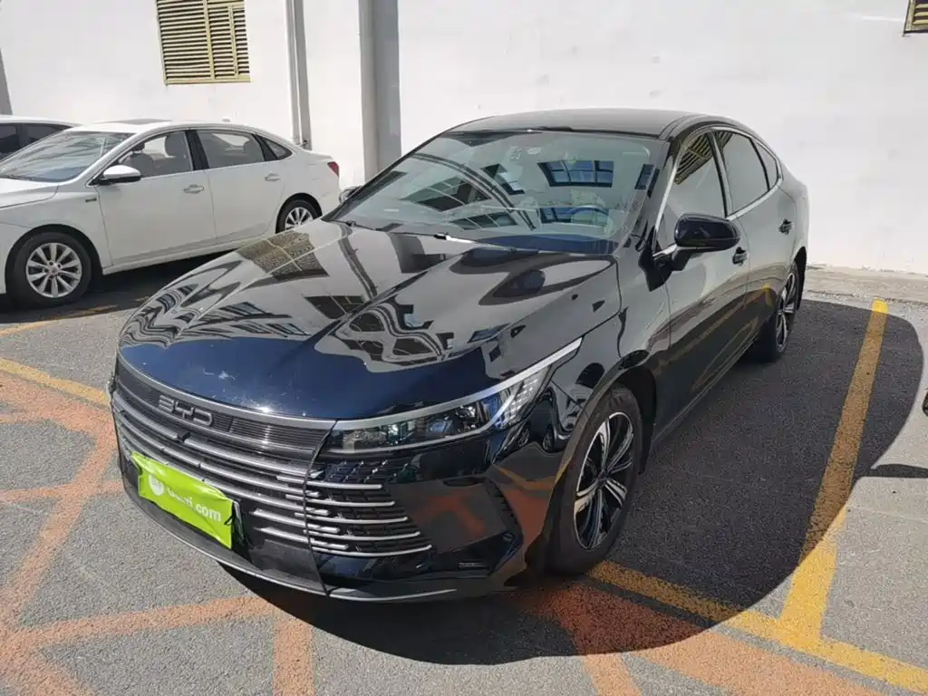 BYD Destroyer 05 — миниатюра 2