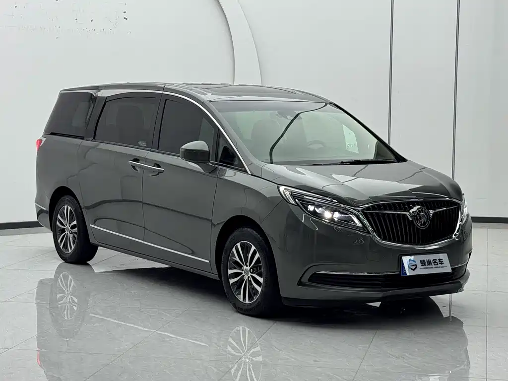 Buick GL8 — миниатюра 3