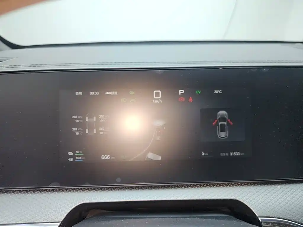 BYD Pro New Energy — миниатюра 12