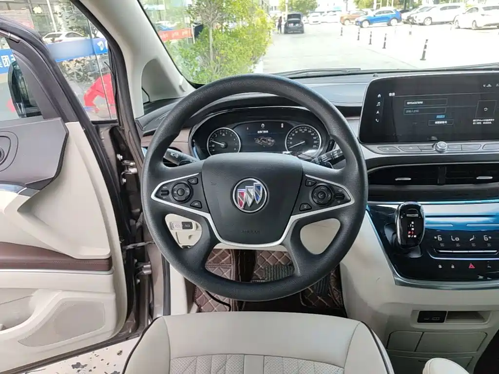 Buick GL8 — миниатюра 11