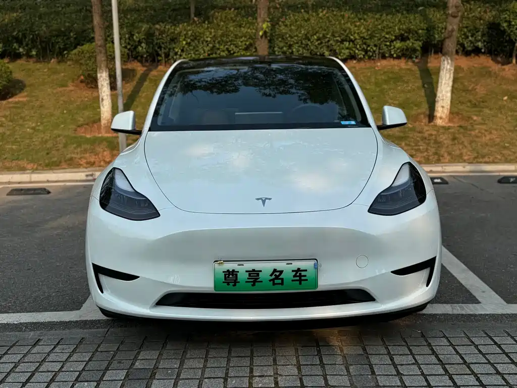 Tesla Model Y — миниатюра 2