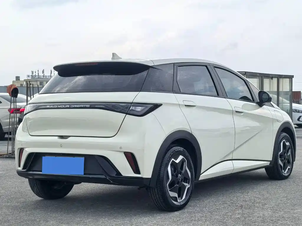 BYD Dolphin 2021 405km Fashion