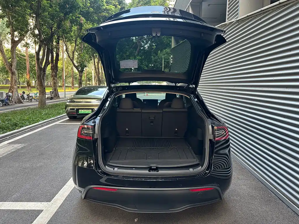 Tesla Model Y — миниатюра 13