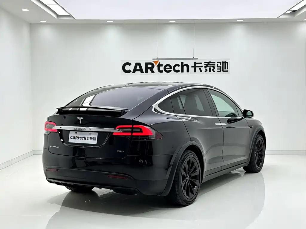 Tesla Model X — миниатюра 6