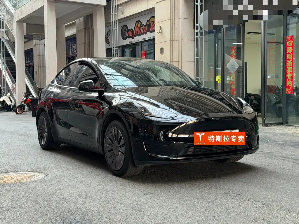 Tesla Model Y — миниатюра 3