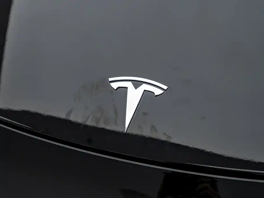 Tesla Model Y — миниатюра 20