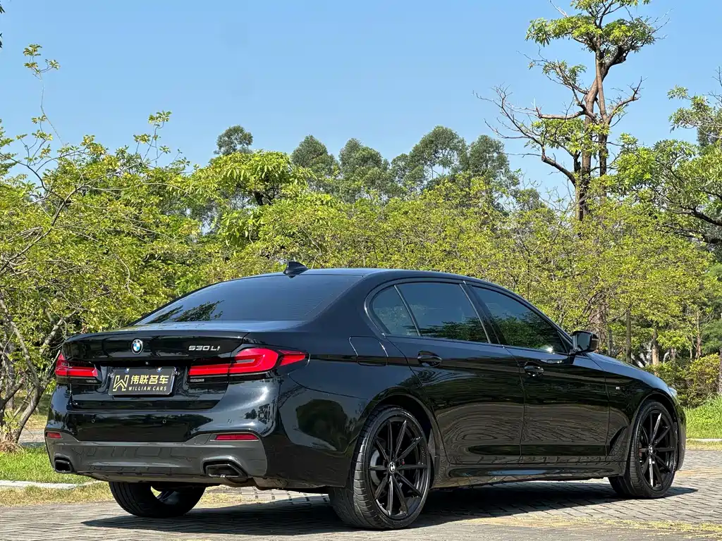 BMW 5 Series — миниатюра 6
