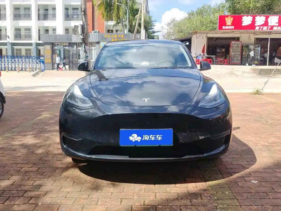 Tesla Model Y — миниатюра 2