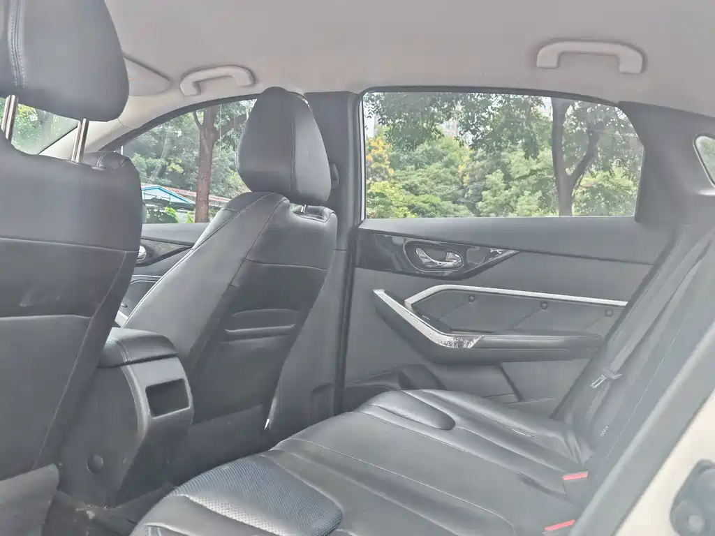 Venucia D60 EV — миниатюра 6