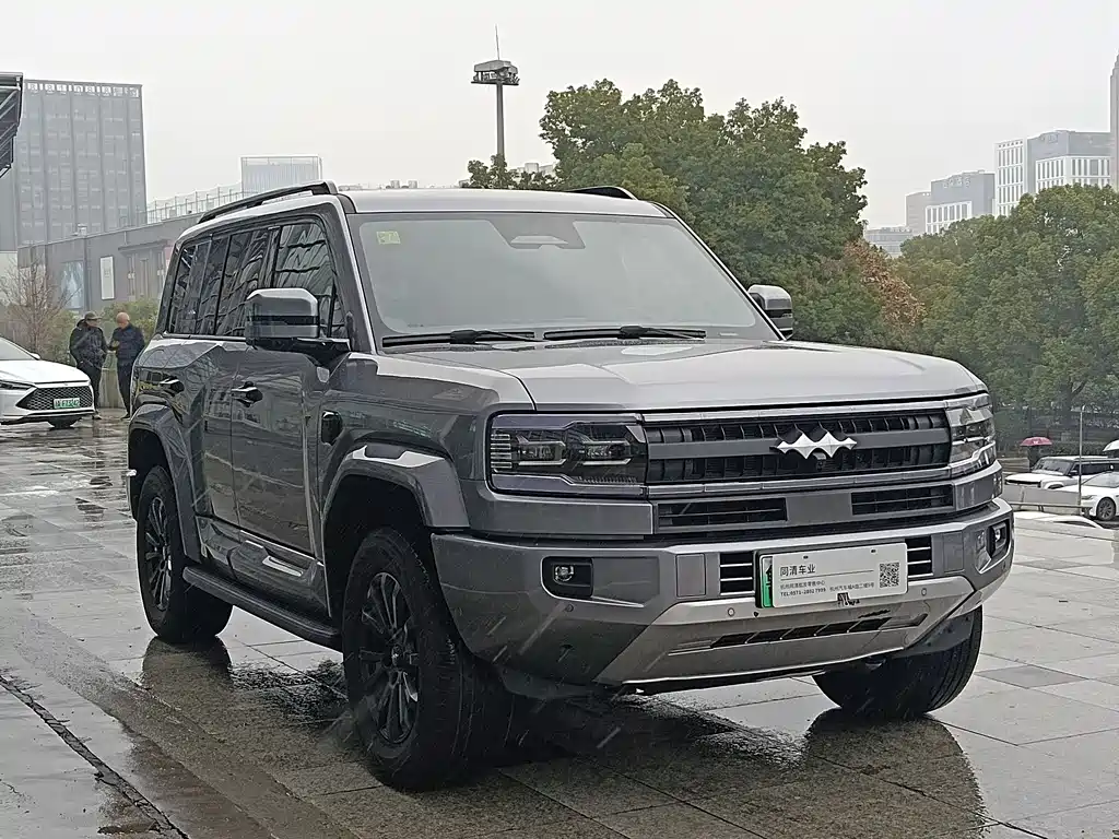 FANG CHENG BAO LEOPARD 5