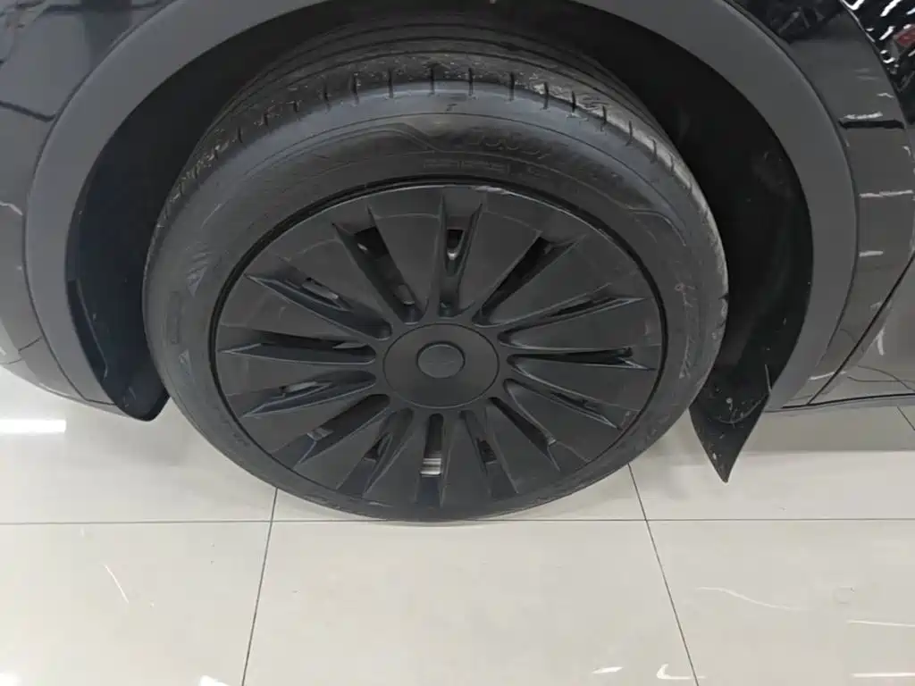 Tesla Model Y — миниатюра 23
