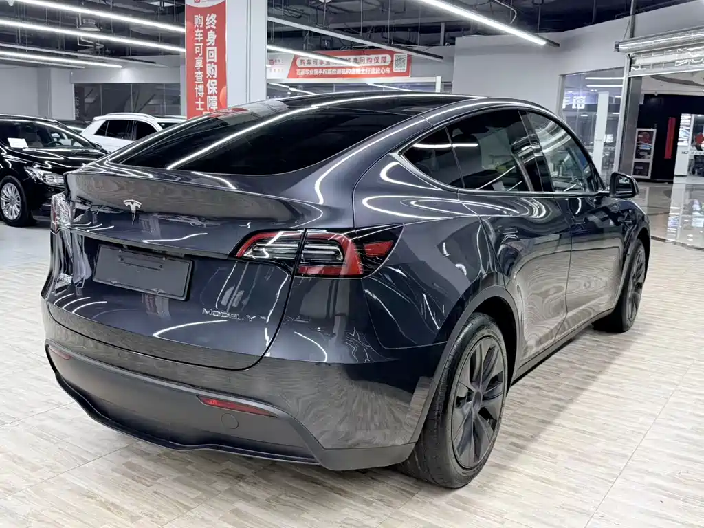 Tesla Model Y — миниатюра 4