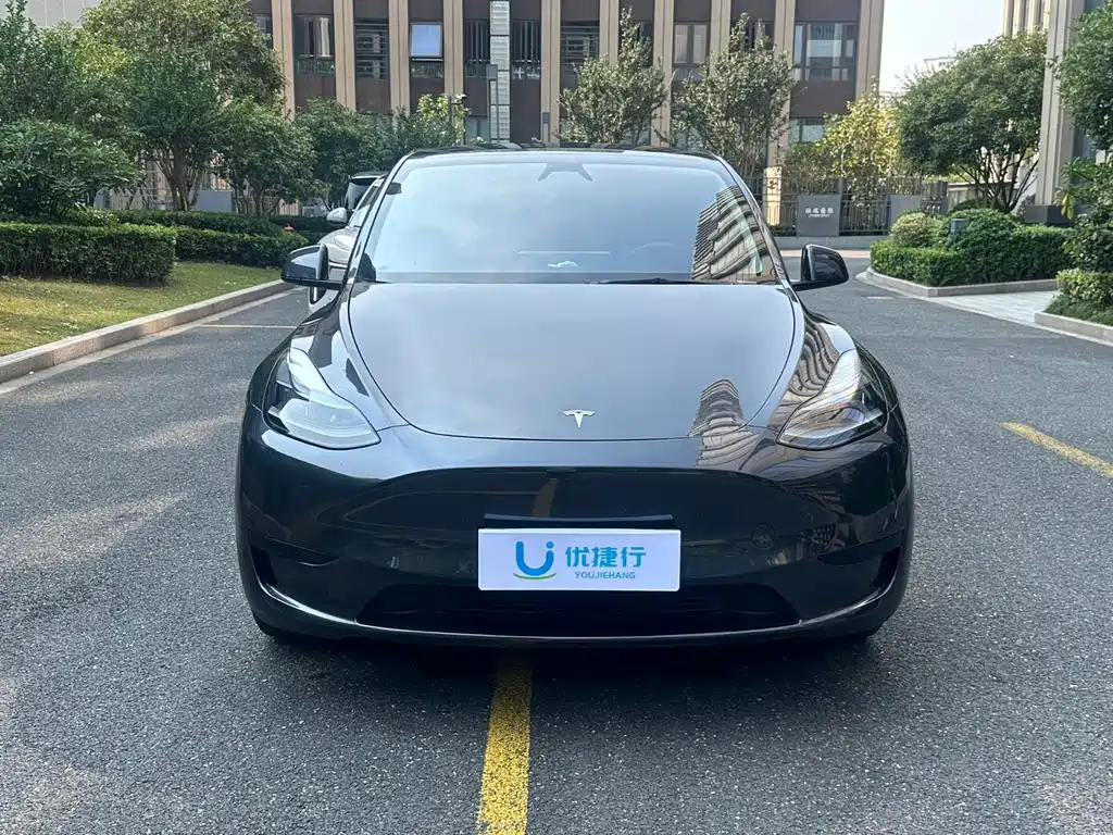 Tesla Model Y — миниатюра 4