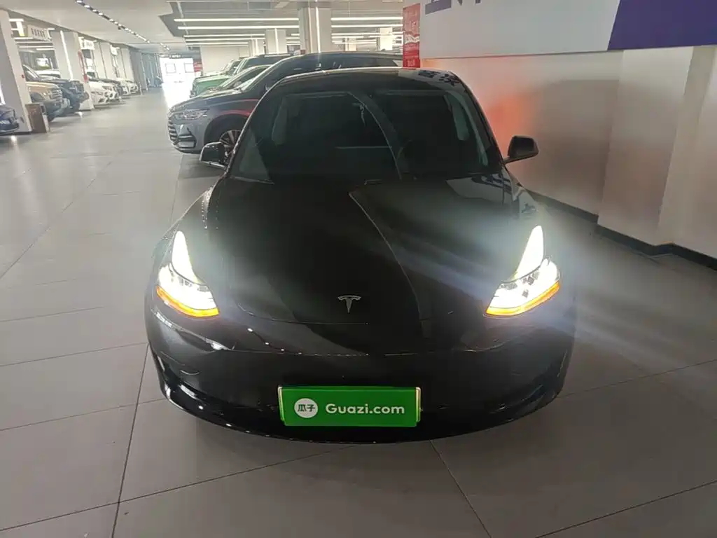 Tesla Model 3 — миниатюра 3