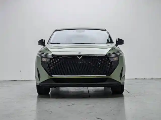 Venucia V DD-i — миниатюра 2