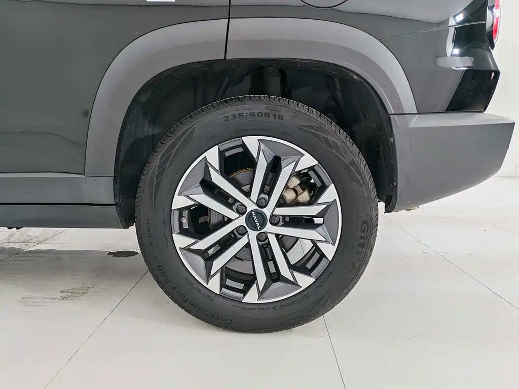 Haval Big Dog — миниатюра 21