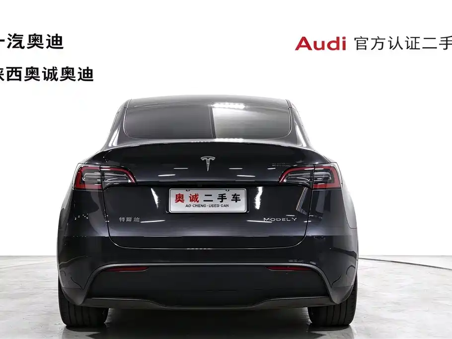 Tesla Model Y — миниатюра 5