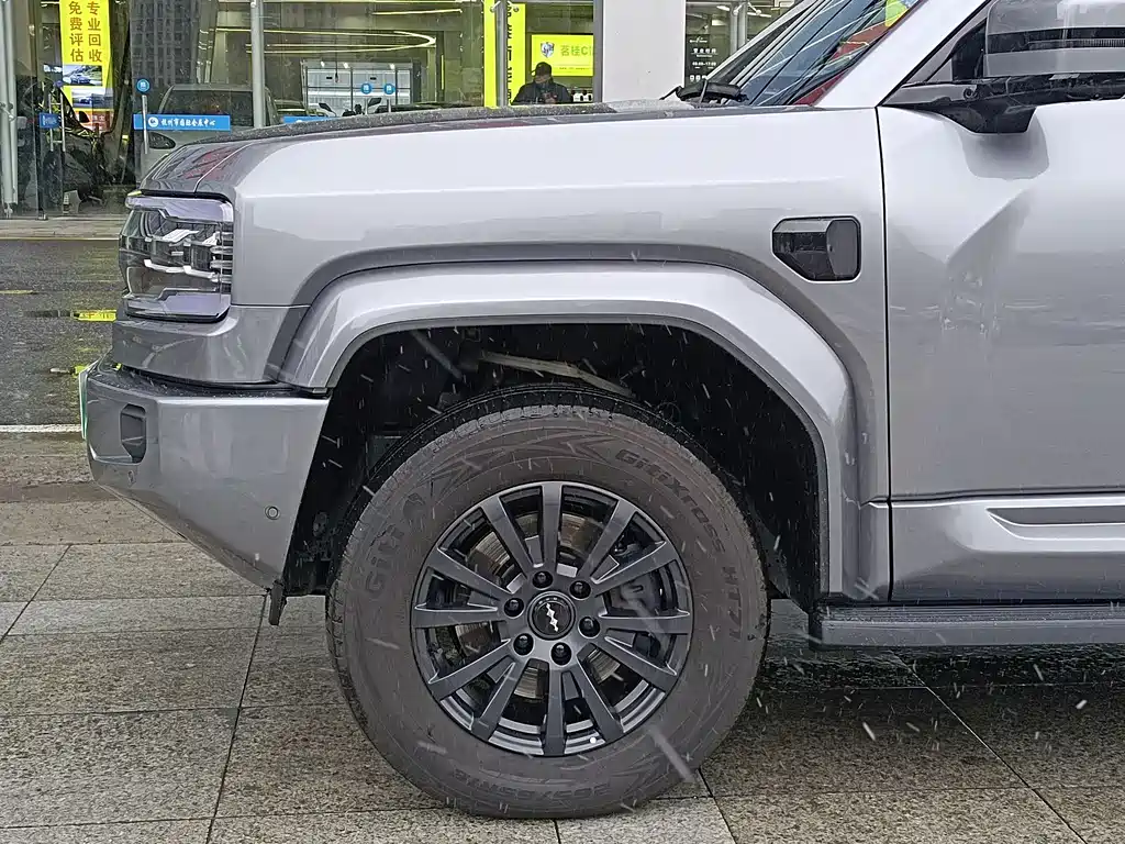 FANG CHENG BAO LEOPARD 5